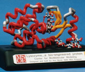 zoom in:  Lysozyme